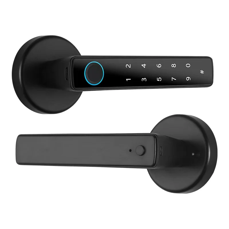 Tuya kenop pintu sidik jari ce - Smart Home Registration ulasan dan harga