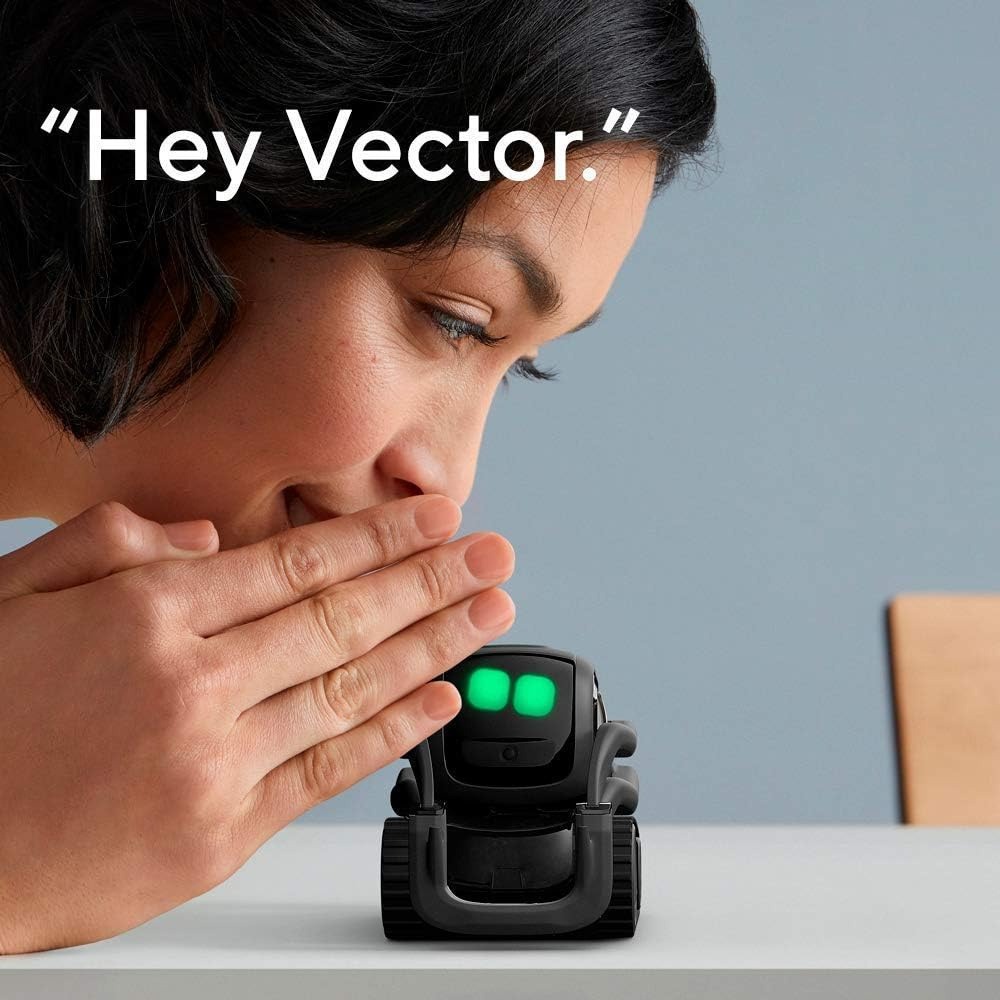 Robot Pintar AI ChatGPT 2.0, R - Smart Home Battery Camera ulasan dan harga